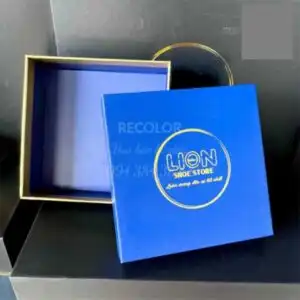 HỘP ĐỰNG PHA LÊ