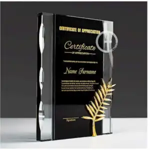 KỶ NIỆM CHƯƠNG VINH DANH