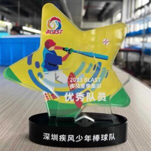 KỶ NIỆM CHƯƠNG NGÔI SAO 002