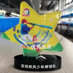 KỶ NIỆM CHƯƠNG NGÔI SAO 002