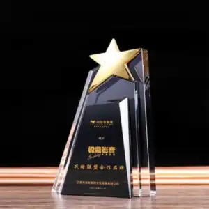 KỶ NIỆM CHƯƠNG NGÔI SAO 001